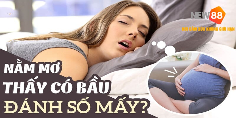 Mơ Thấy Có Bầu Đánh Con Gì?